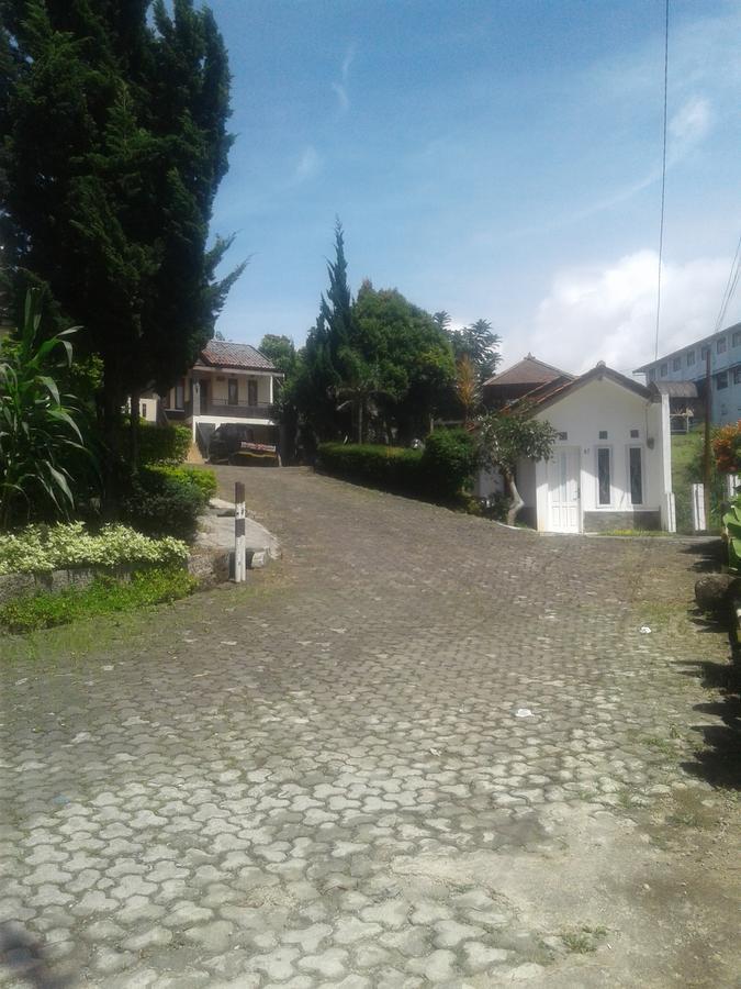 Villa Beverly *